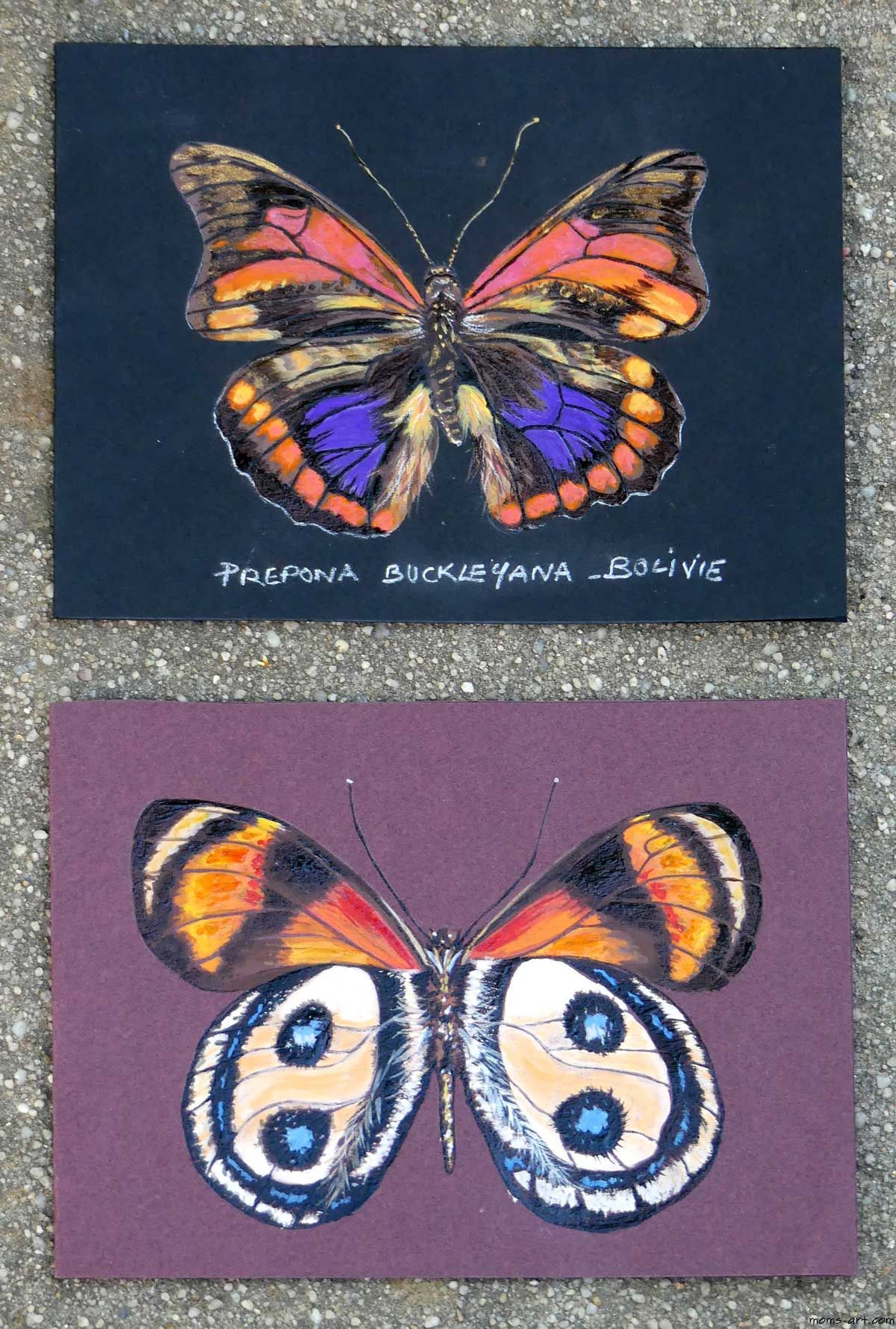 Peinture acrylique carte de voeux Papillon